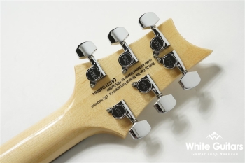 SE Custom 24 - Faded Blue Burst